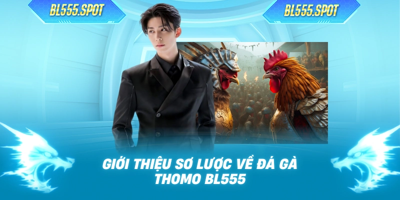 Giới thiệu sơ lược về đá gà thomo BL555