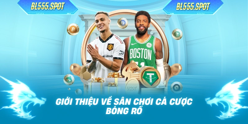 Giới thiệu về sân chơi cá cược bóng rổ