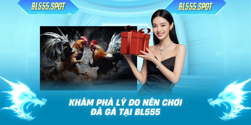 Khám phá lý do nên chơi đá gà tại BL555